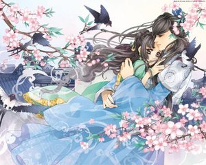 深入了解 福建大菠萝导航官网
